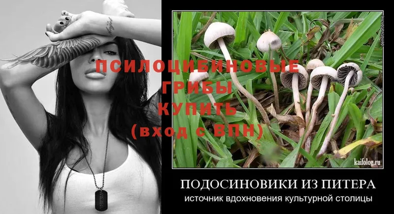 купить  сайты  Бирск  Галлюциногенные грибы Cubensis 